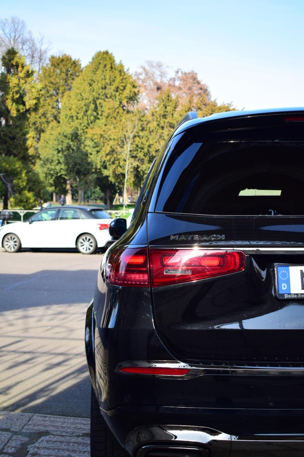 Mercedes GLS600 Maybach — photo 7